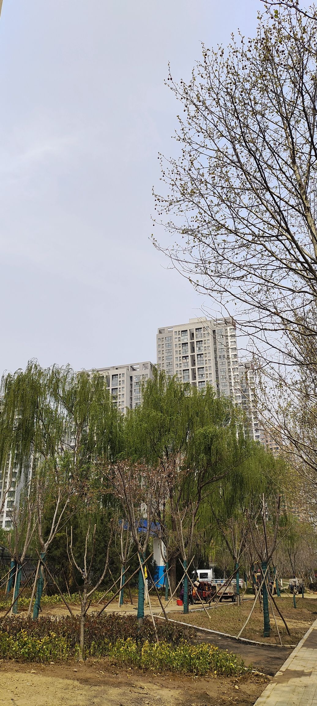 大运河国家文化公园旅行图片 3