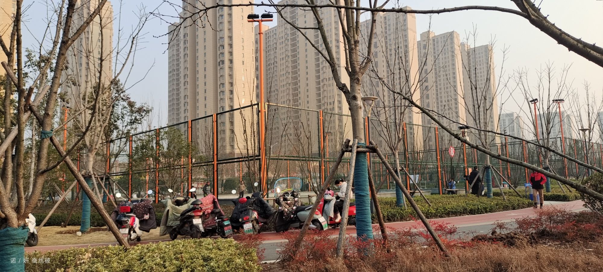 金水湾体育公园旅行图片 2