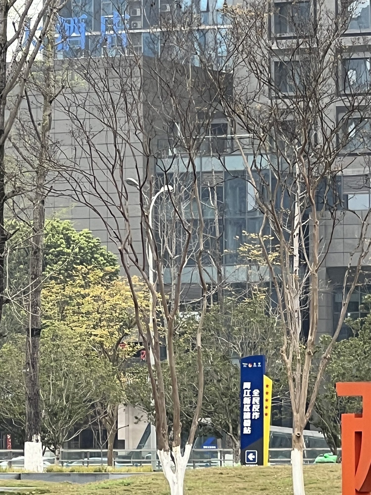 两江志愿者公园旅行图片 3