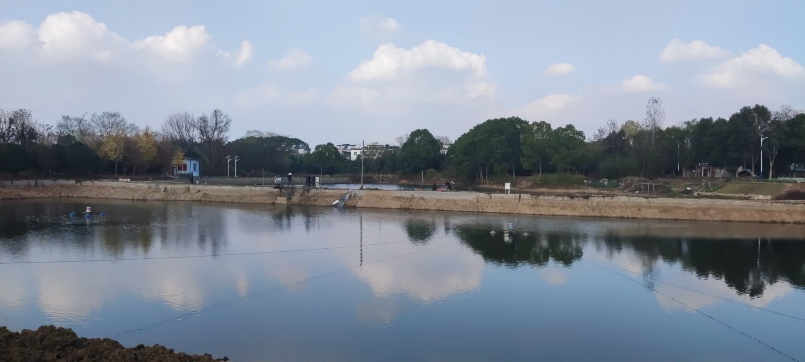 小远家的鱼塘