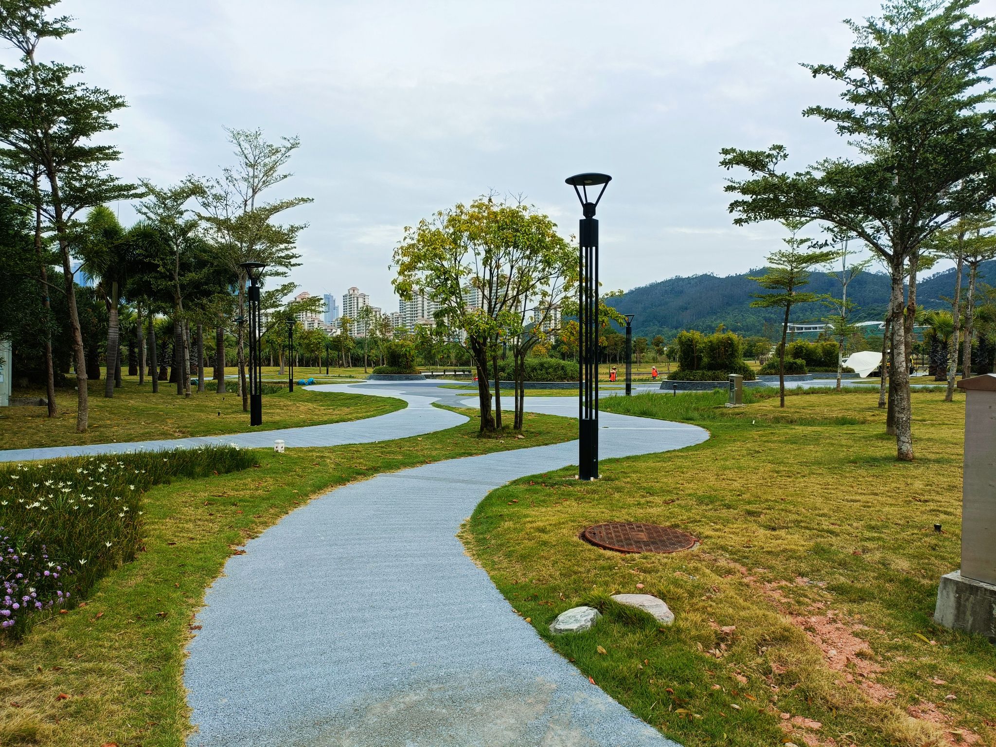 横琴No.1公园旅行图片 2