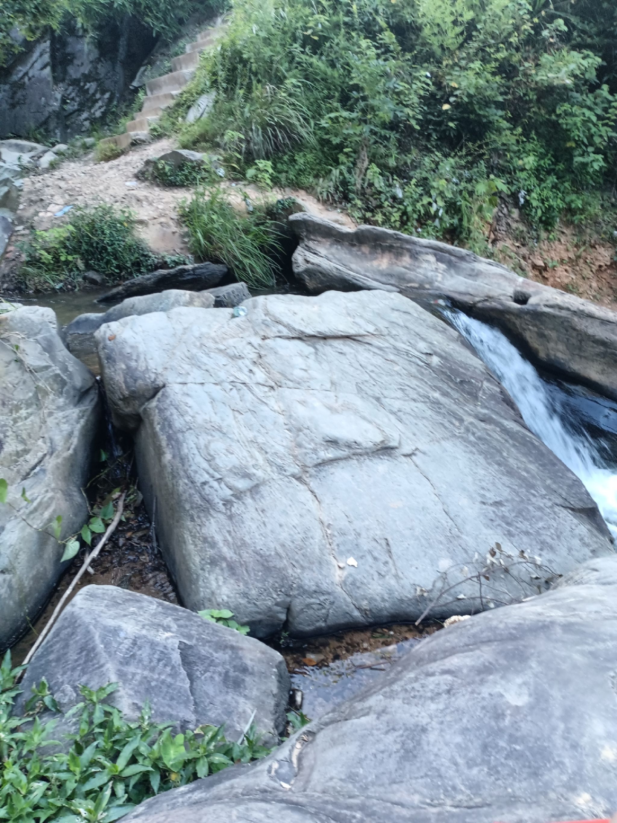 龙湫潭旅行图片 1