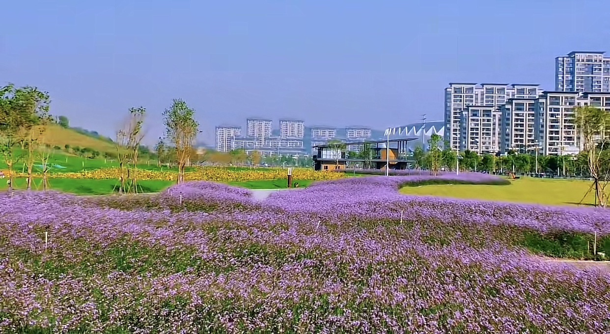 花海公园旅行图片 2