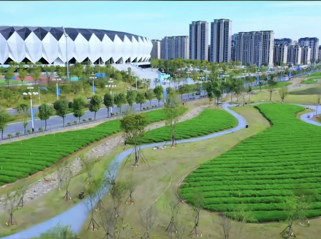 花海公园旅行图片 1