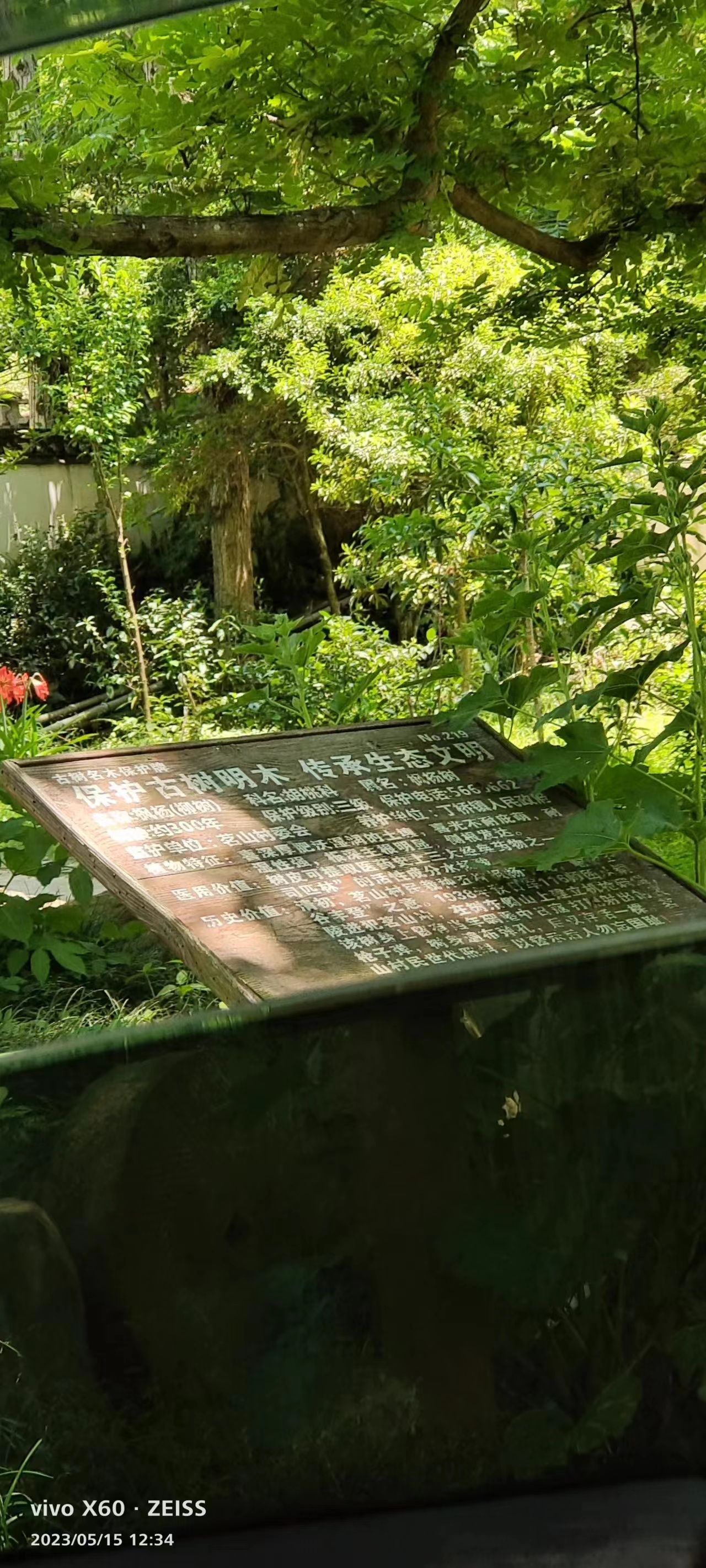 茗山革命根据地旧址