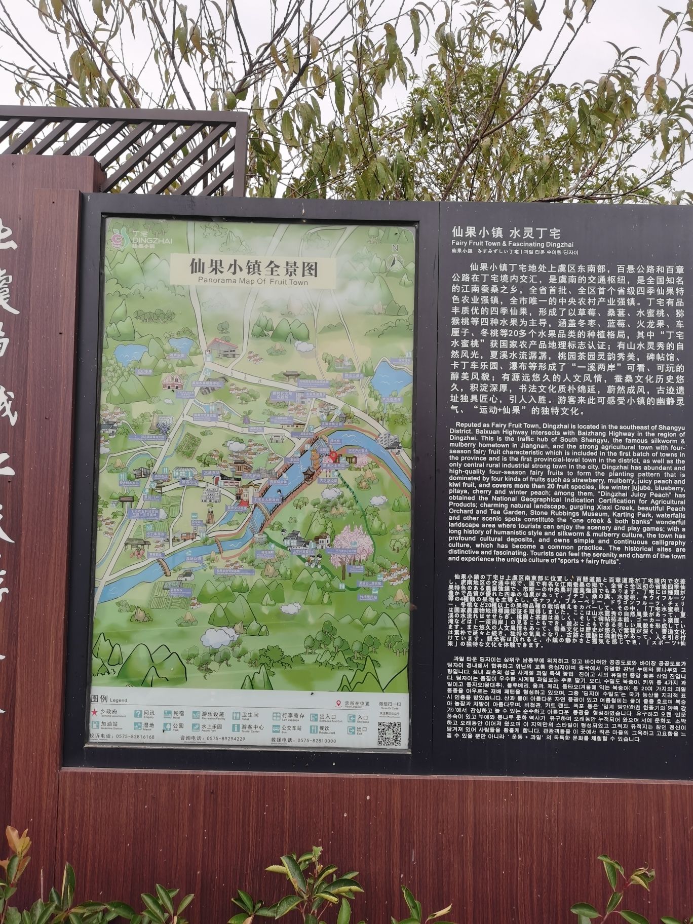 丁宅乡旅游示范区旅行图片 2