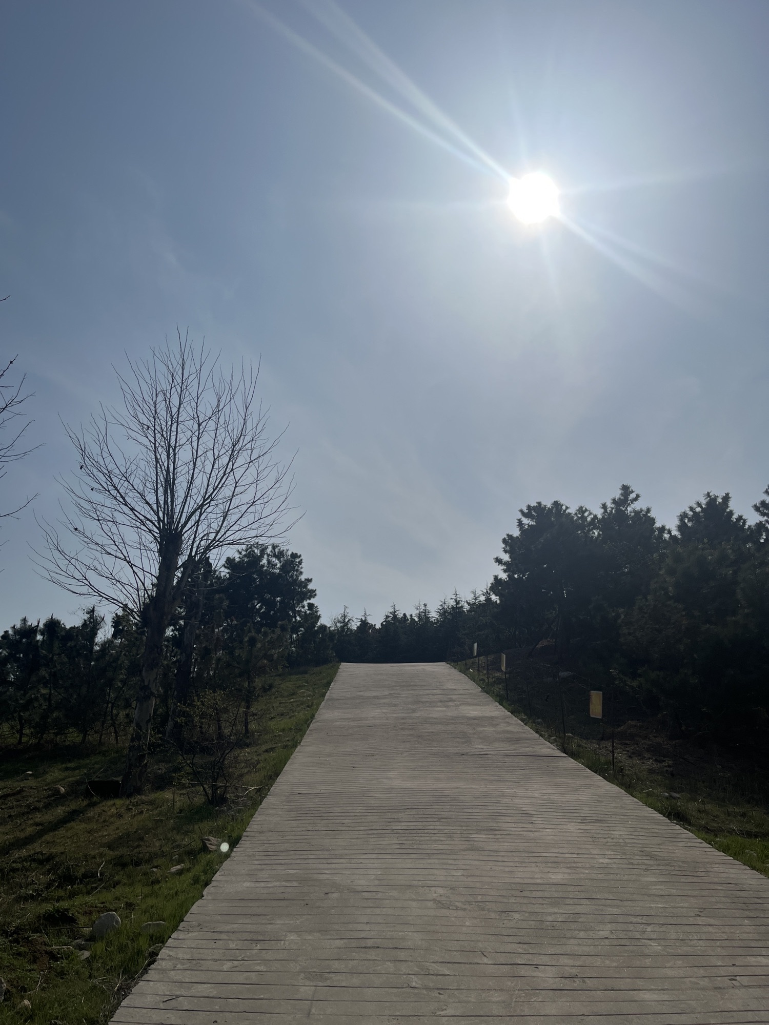 花科子山公园旅行图片 3