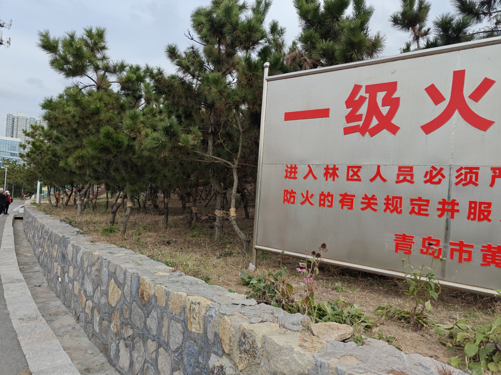 花科子山公园旅行图片 3