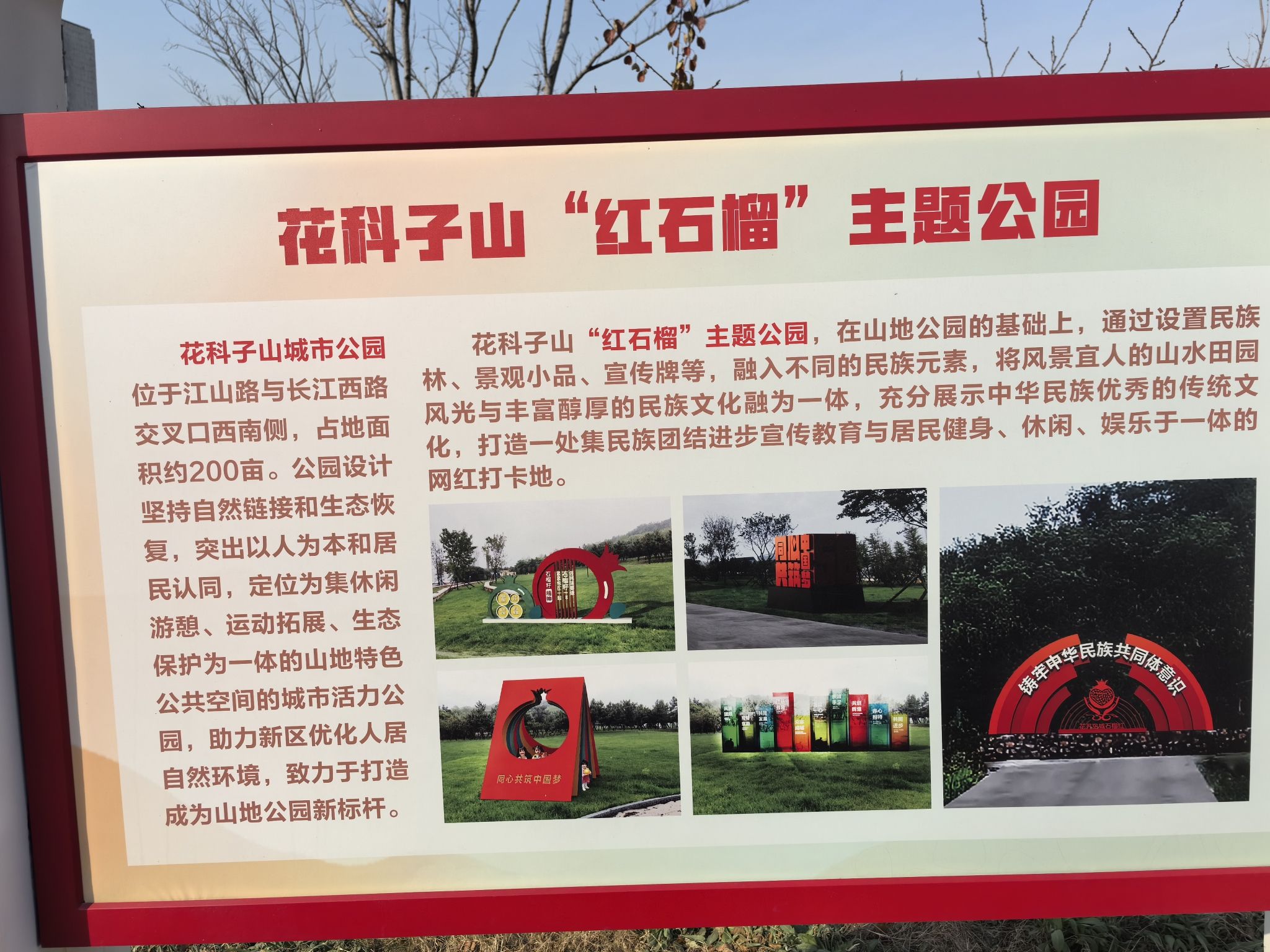 花科子山公园旅行图片 3