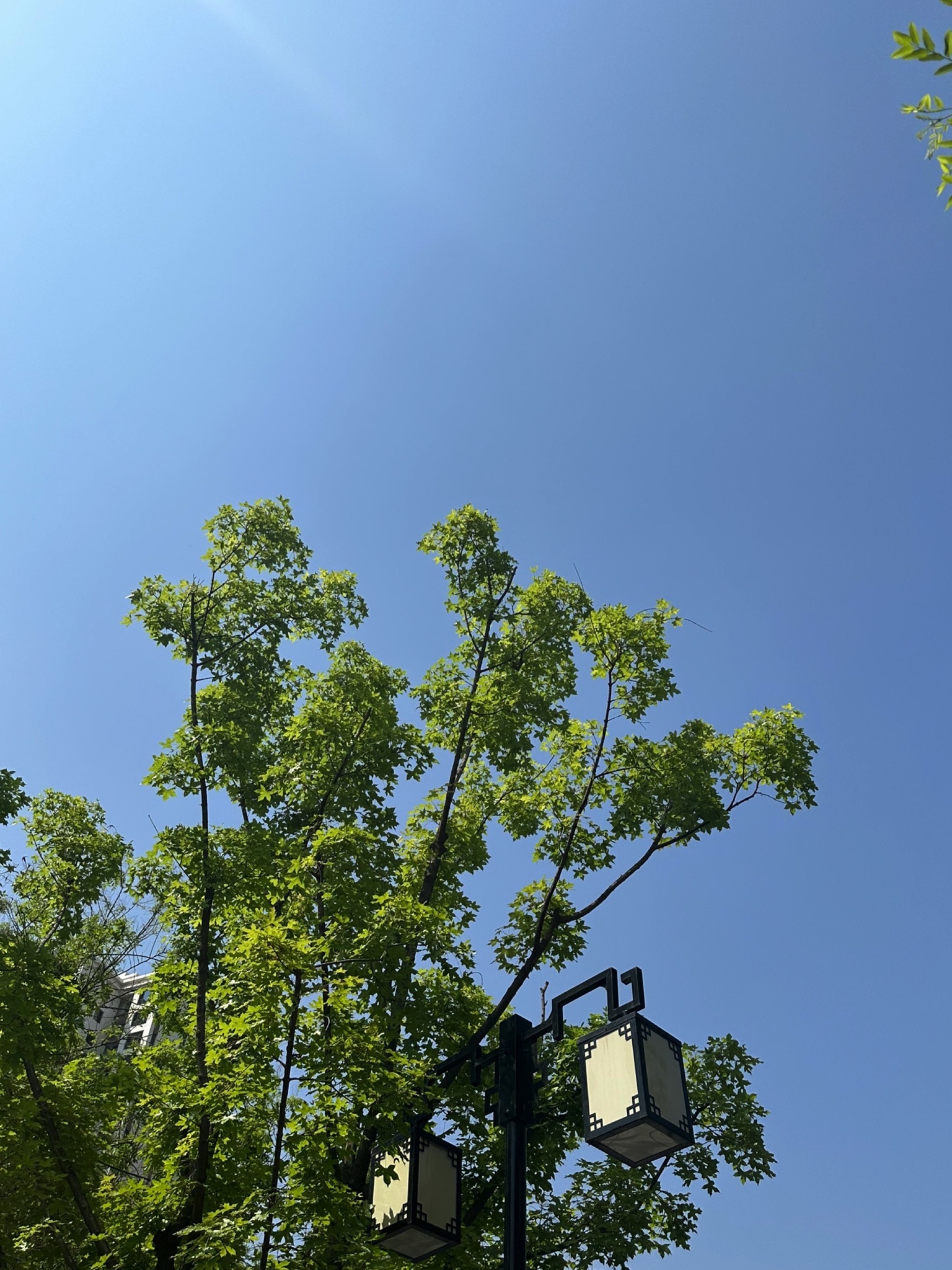 塔南公园旅行图片 1