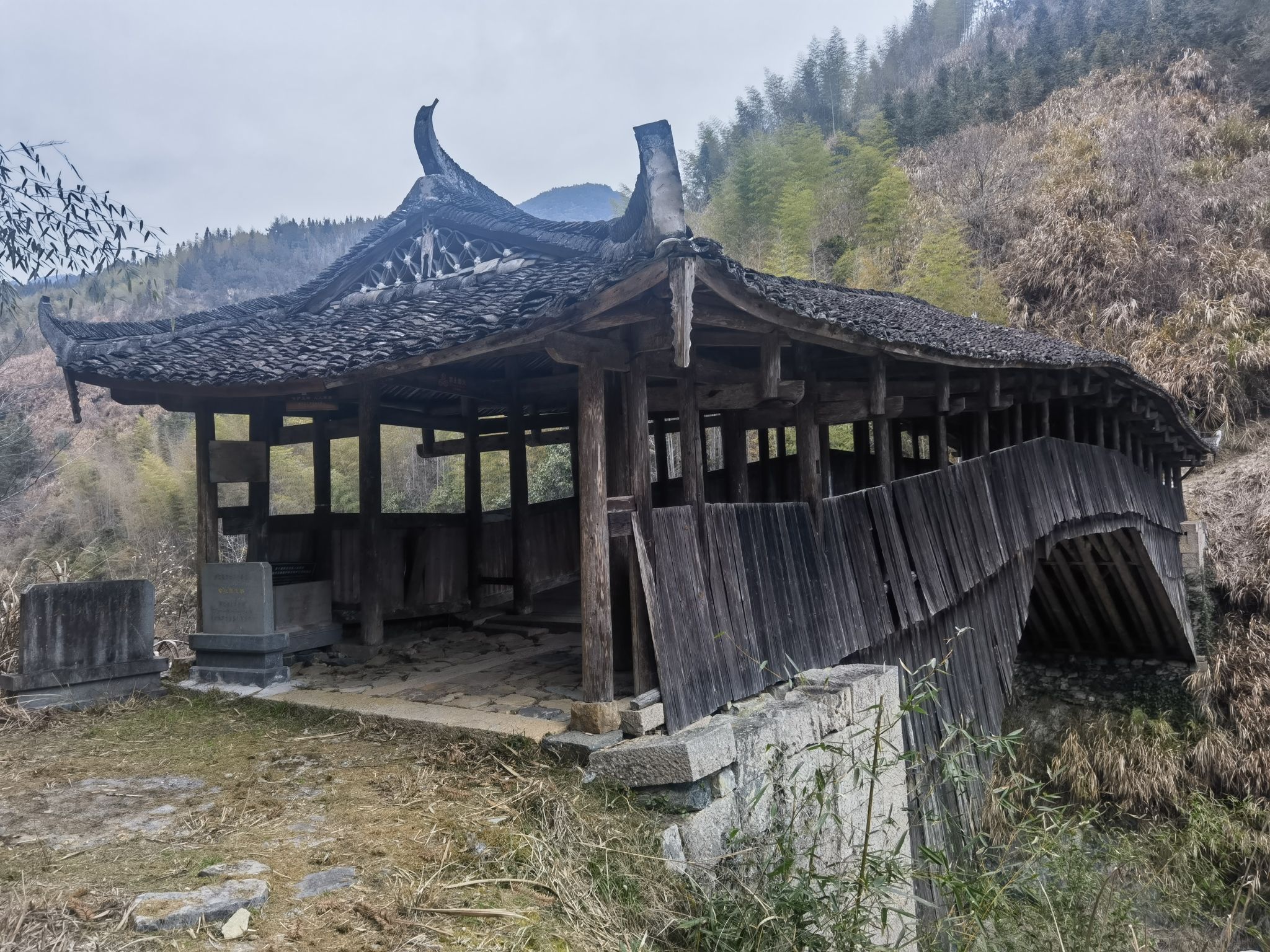 章坑接龙桥旅行图片