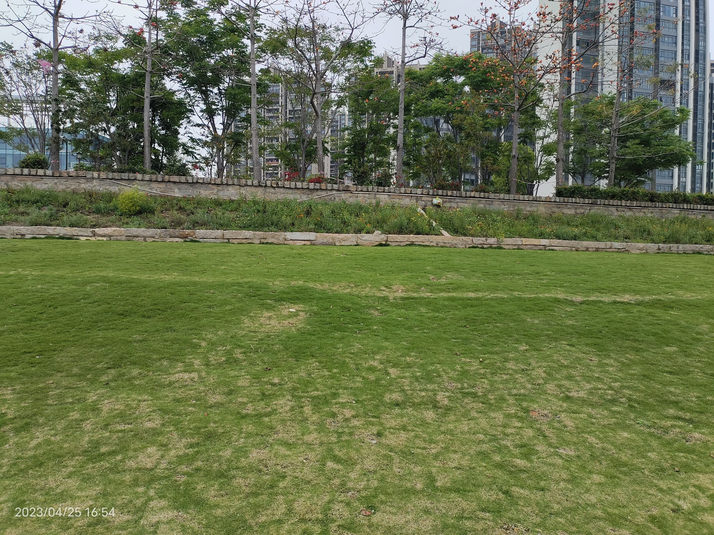 木兰溪滩地公园旅行图片 3
