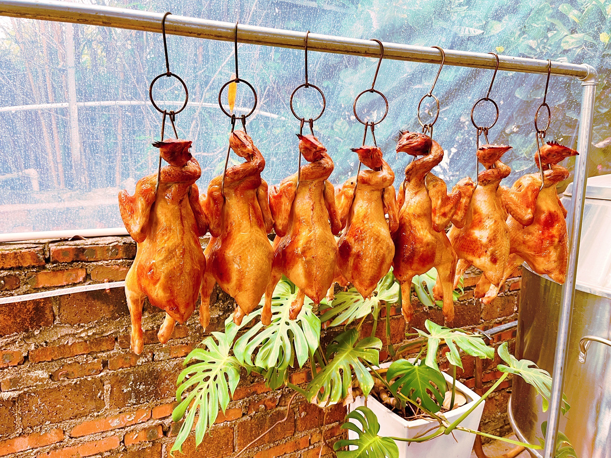 好人家农庄