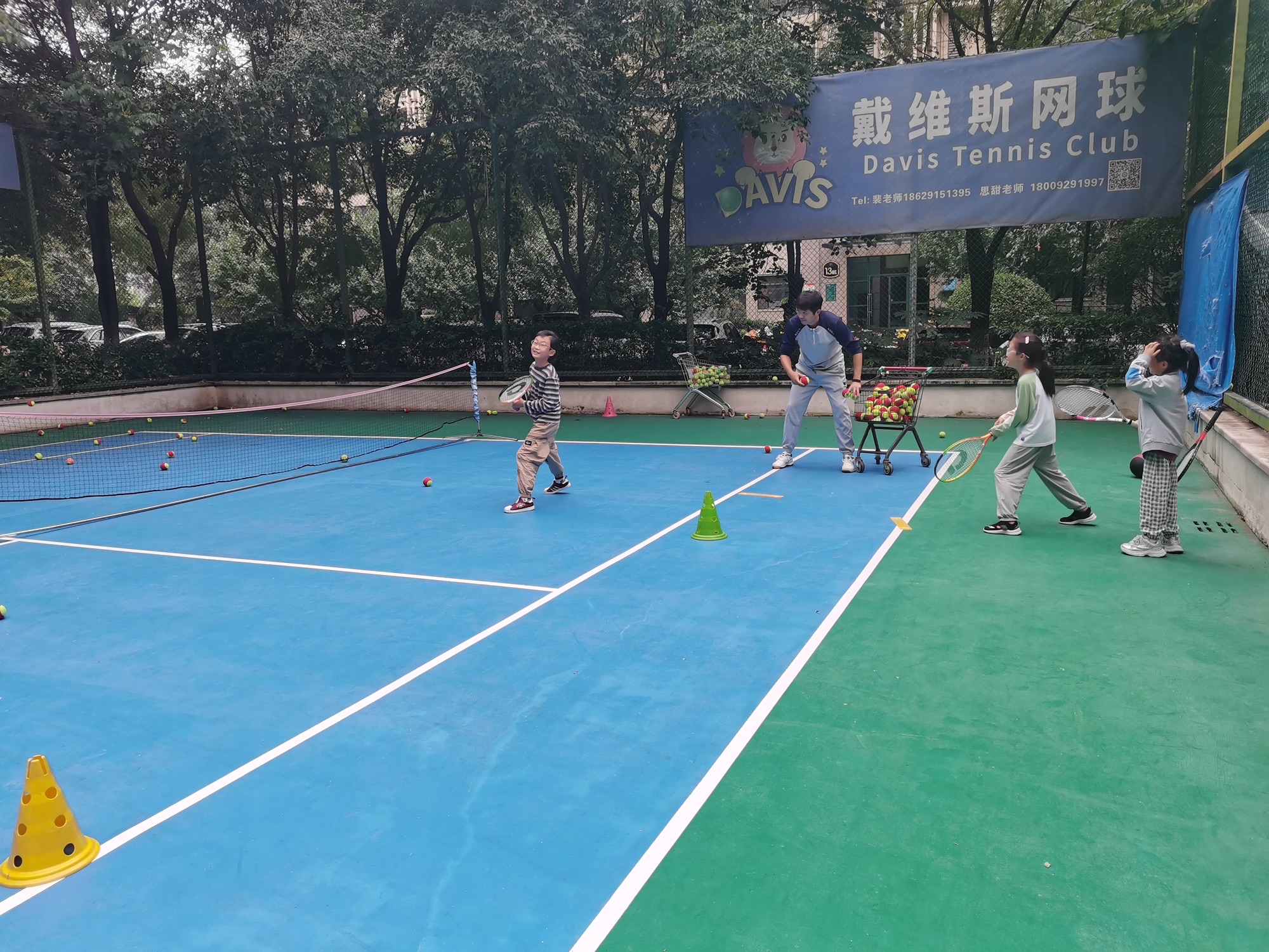 场地封面-戴维斯网球