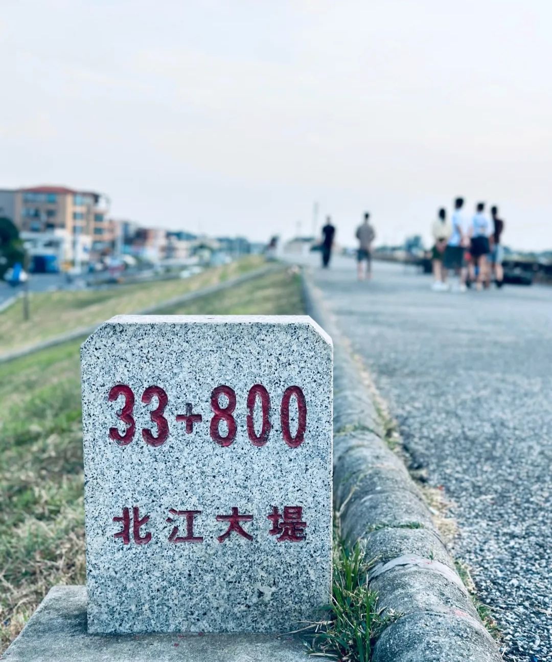 北江大堤露营地