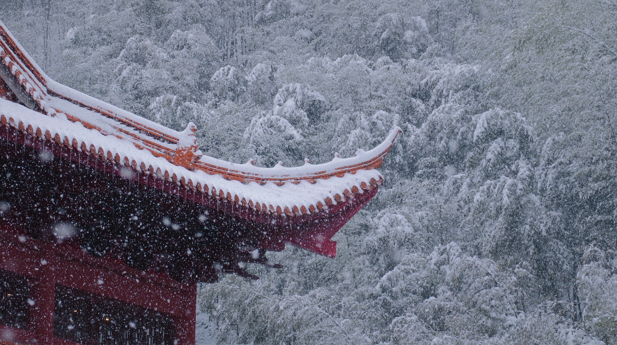 化度寺