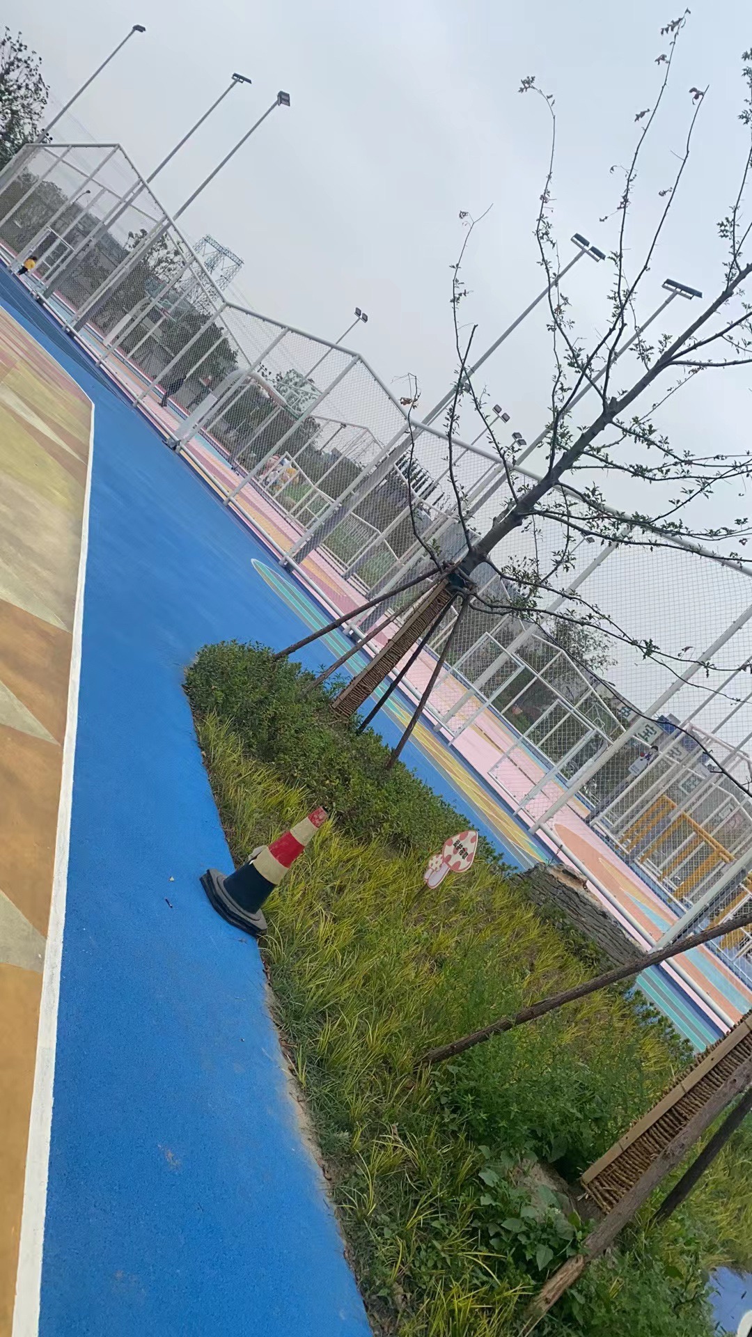 丰彩运动公园旅行图片 1