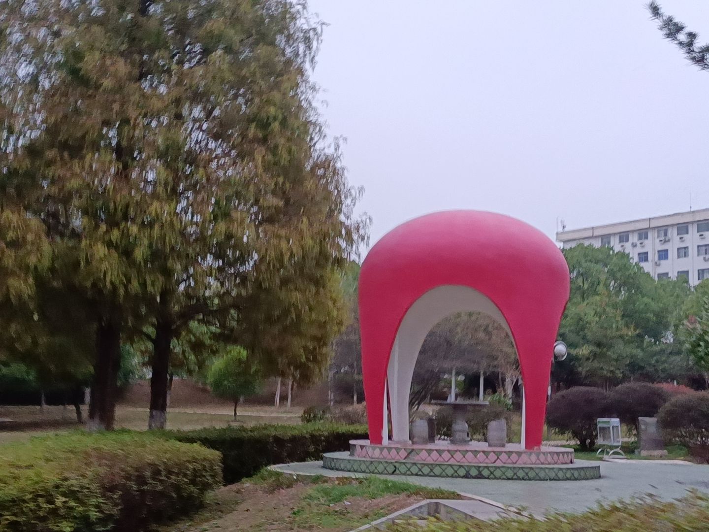 泽园旅行图片 2