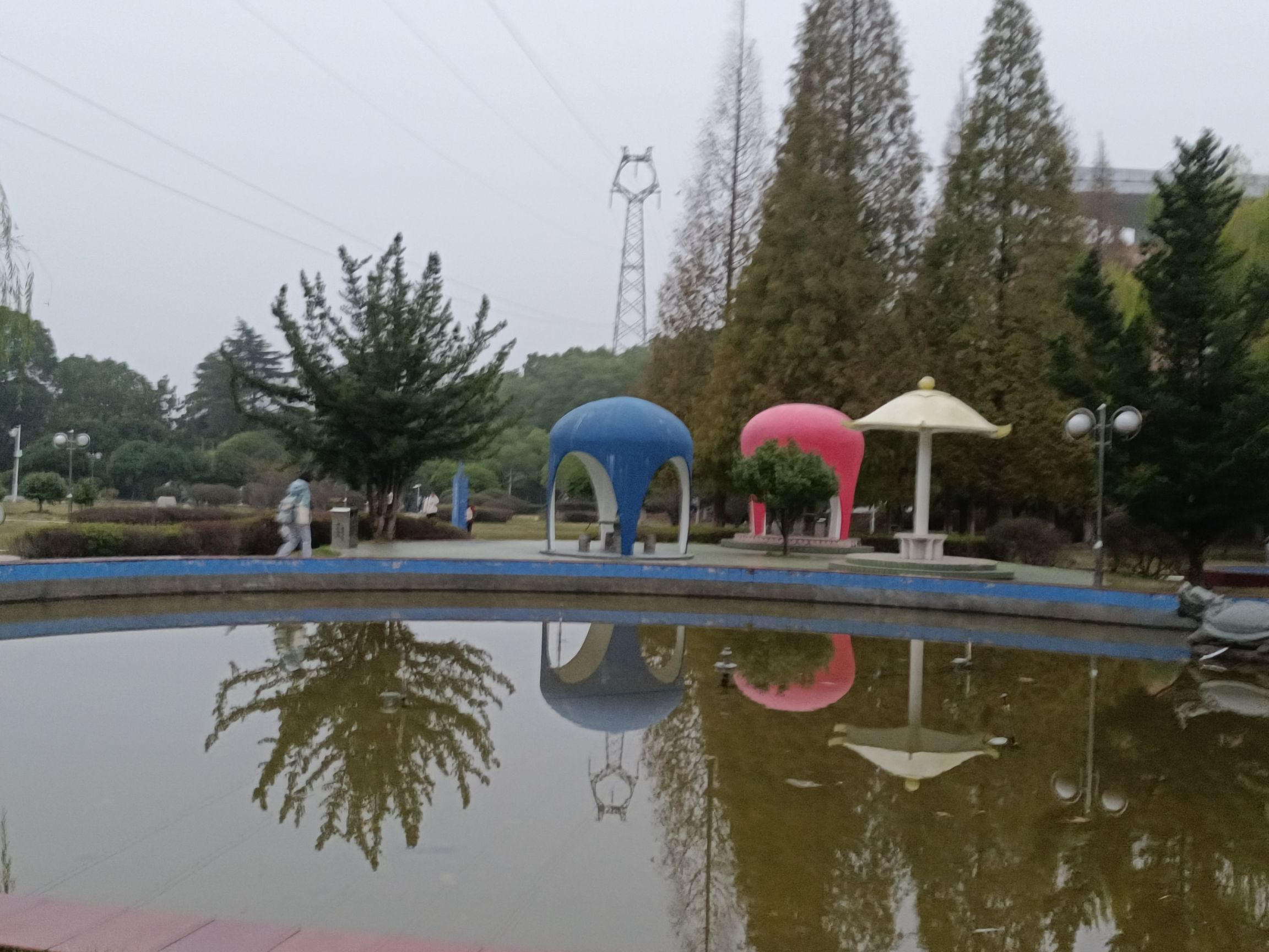 泽园旅行图片 1