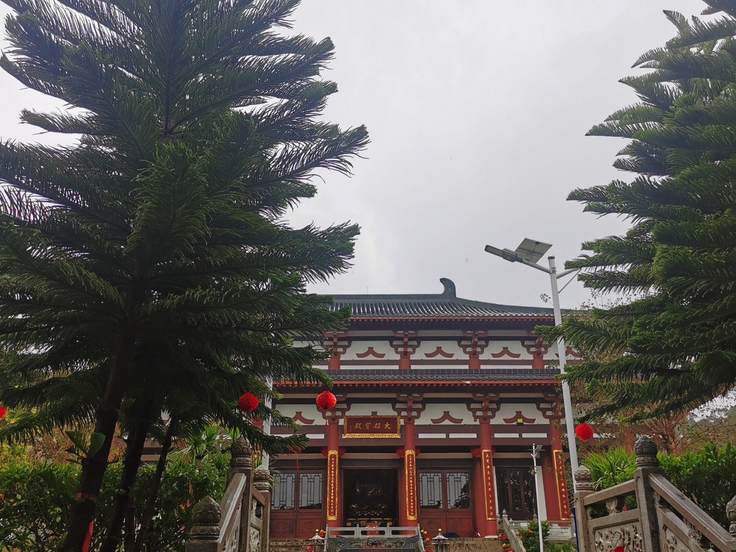 泉林黄金小镇湿地公园旅行图片 1