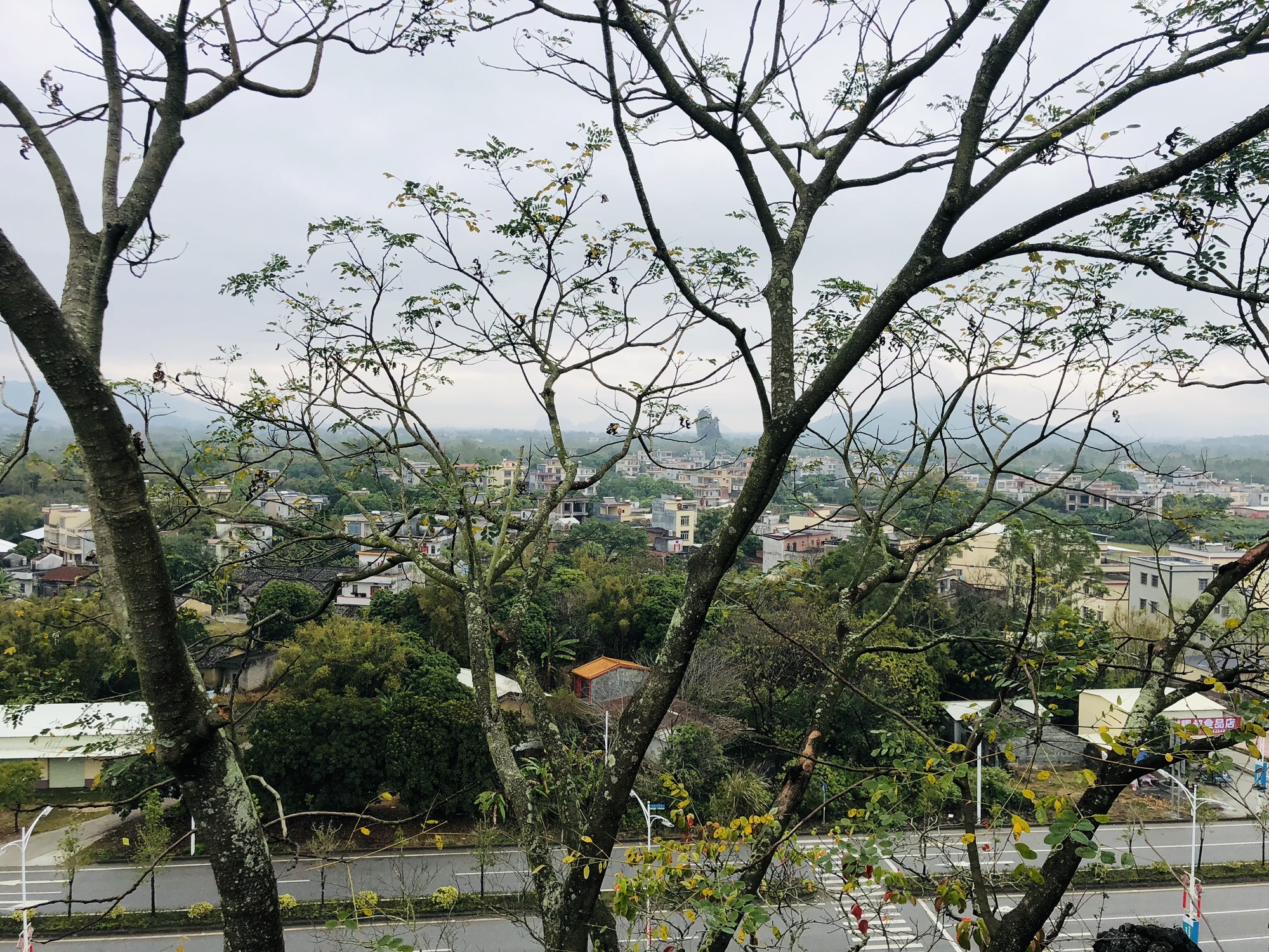 黎湖村石脚山公园旅行图片 1