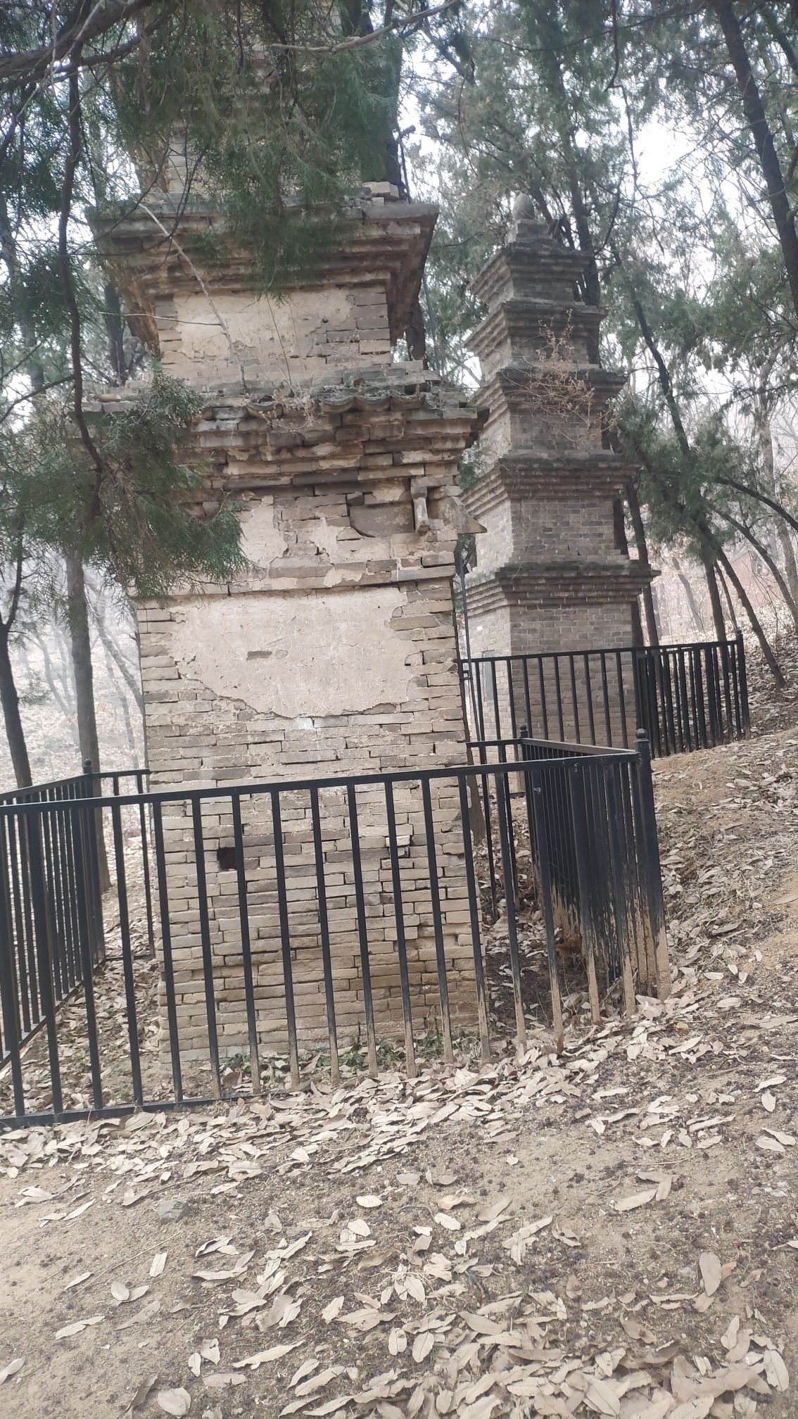 白云寺景区旅行图片 3