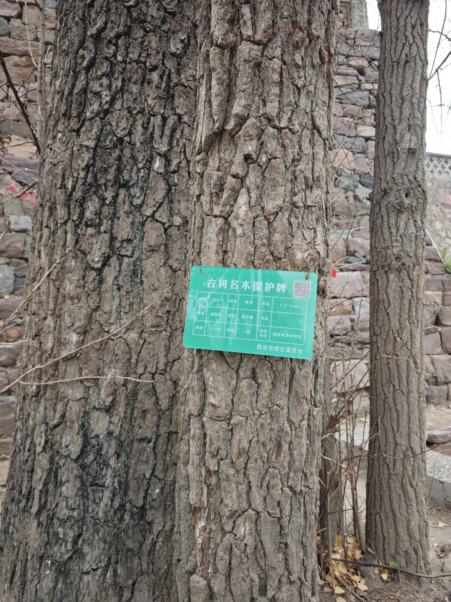 白云寺景区旅行图片 2