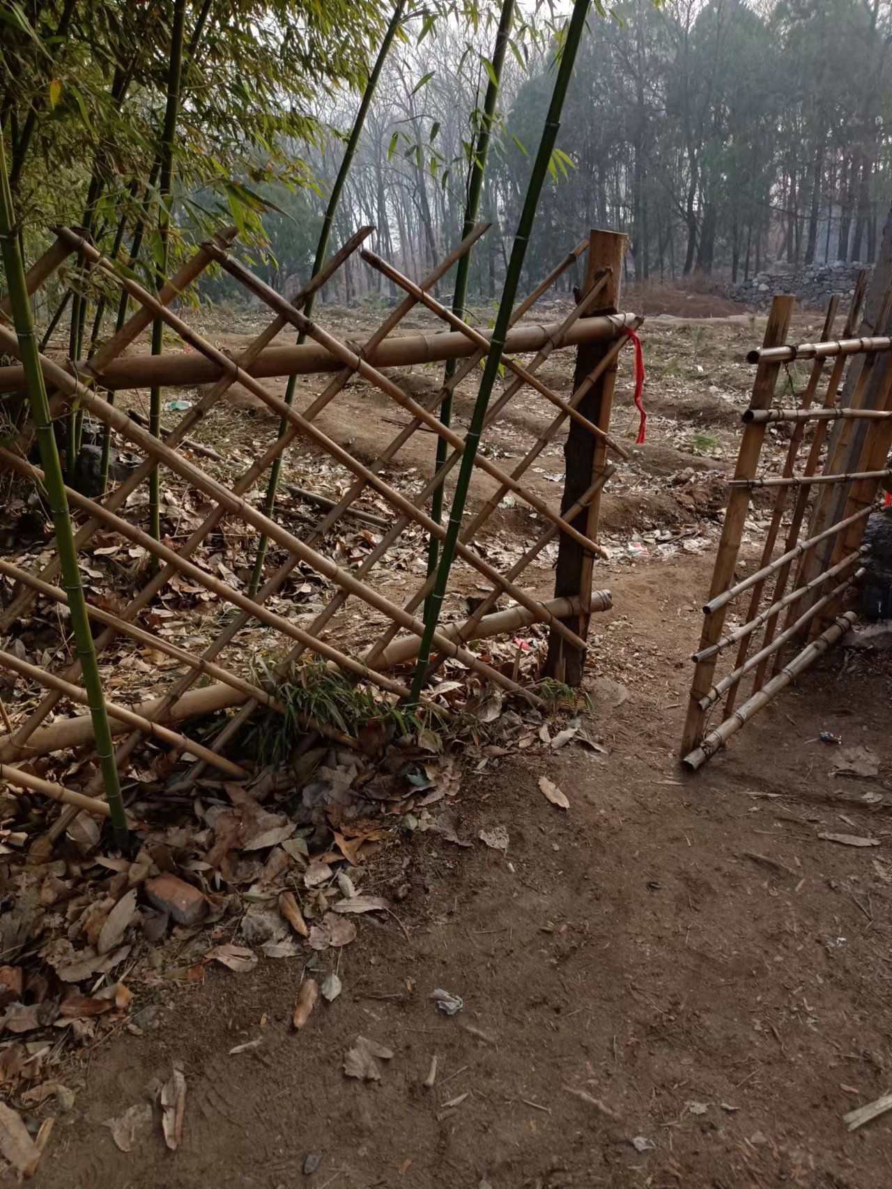 白云寺景区旅行图片 1
