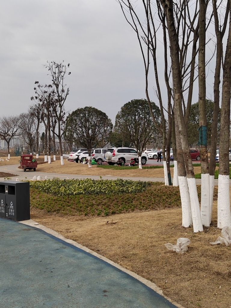安昌河南岸生态湿地公园旅行图片 1
