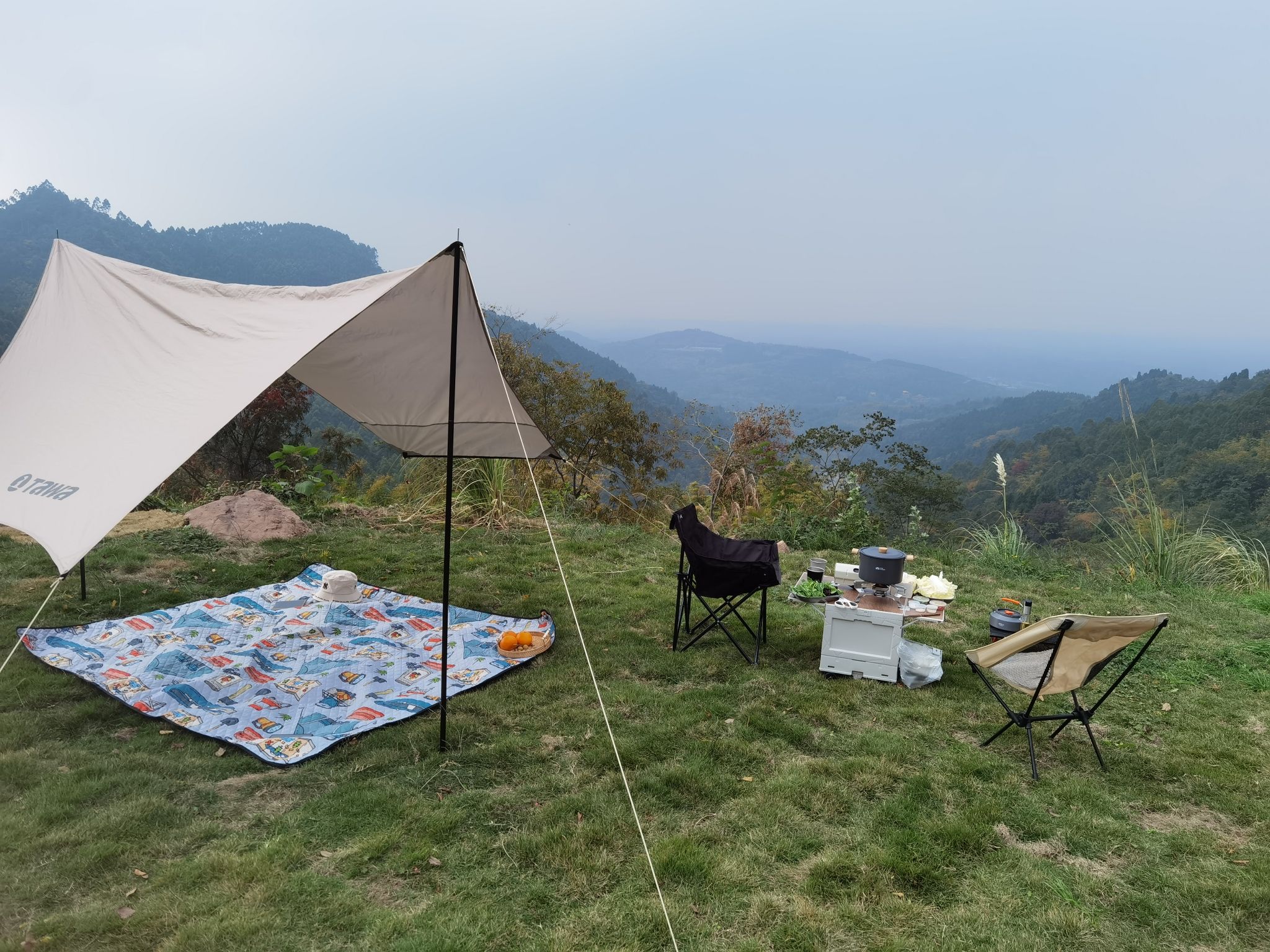 场地封面-MAX农场