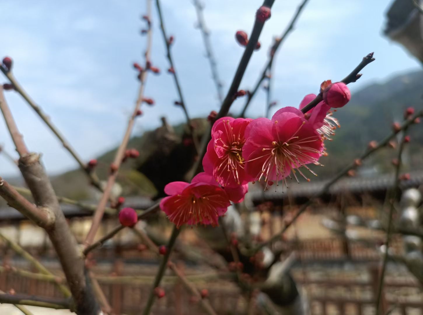 古戏台遗址公园