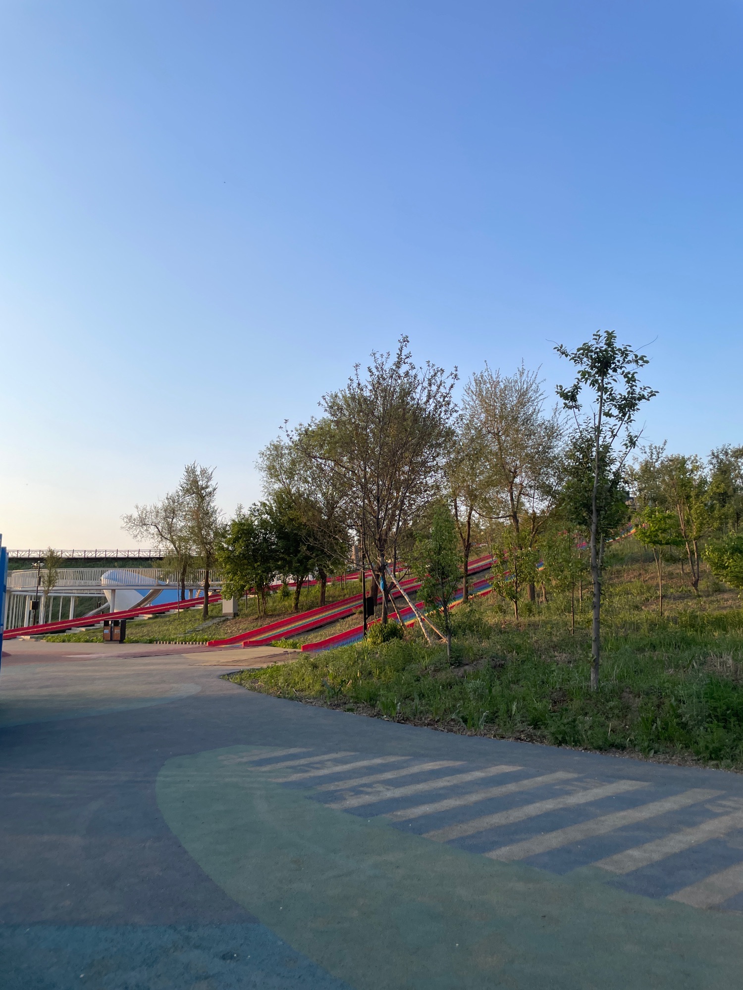 银湖公园旅行图片 1
