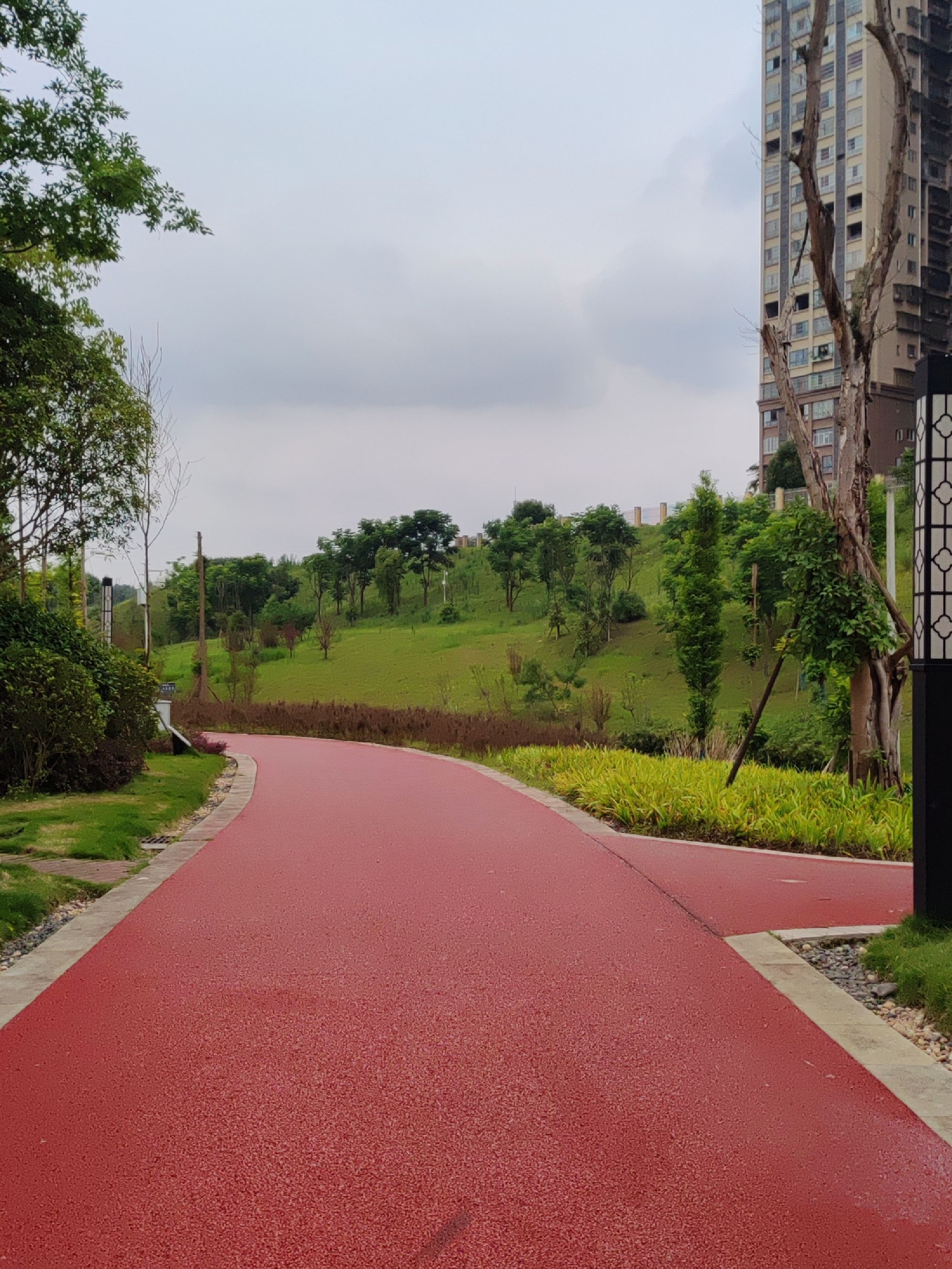 海棠溪公园旅行图片 1