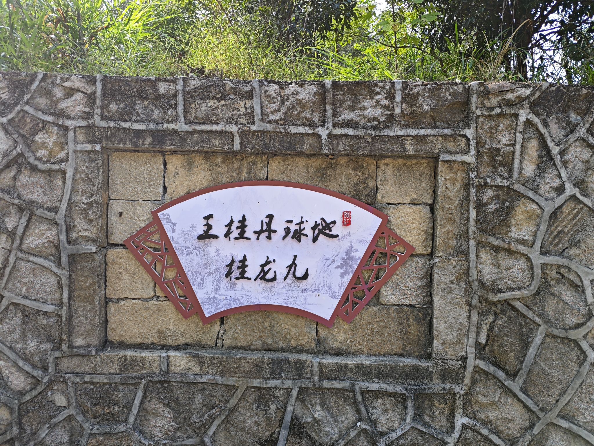 临江九龙桂旅行图片 2