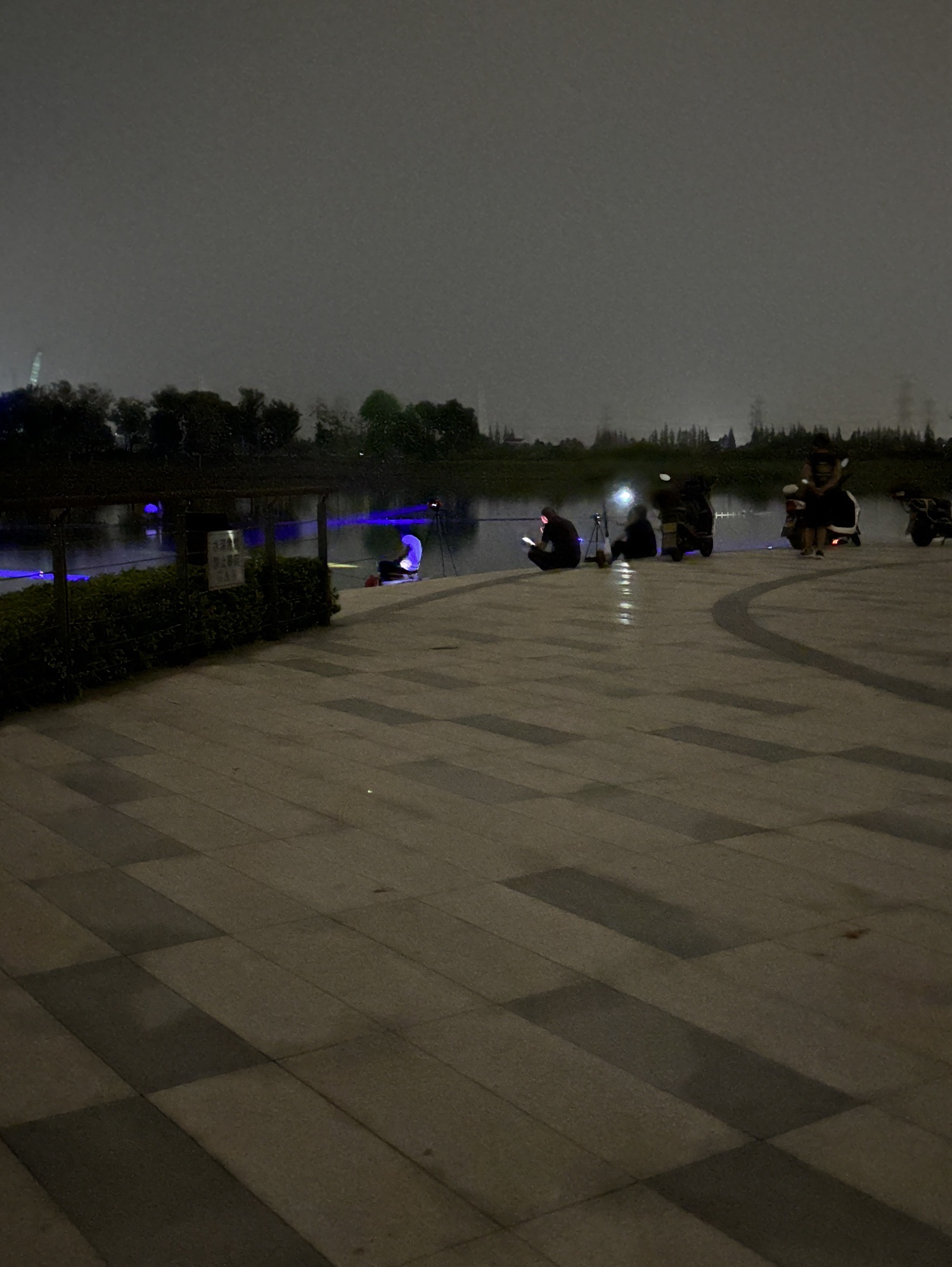 槜李湖公园旅行图片 2