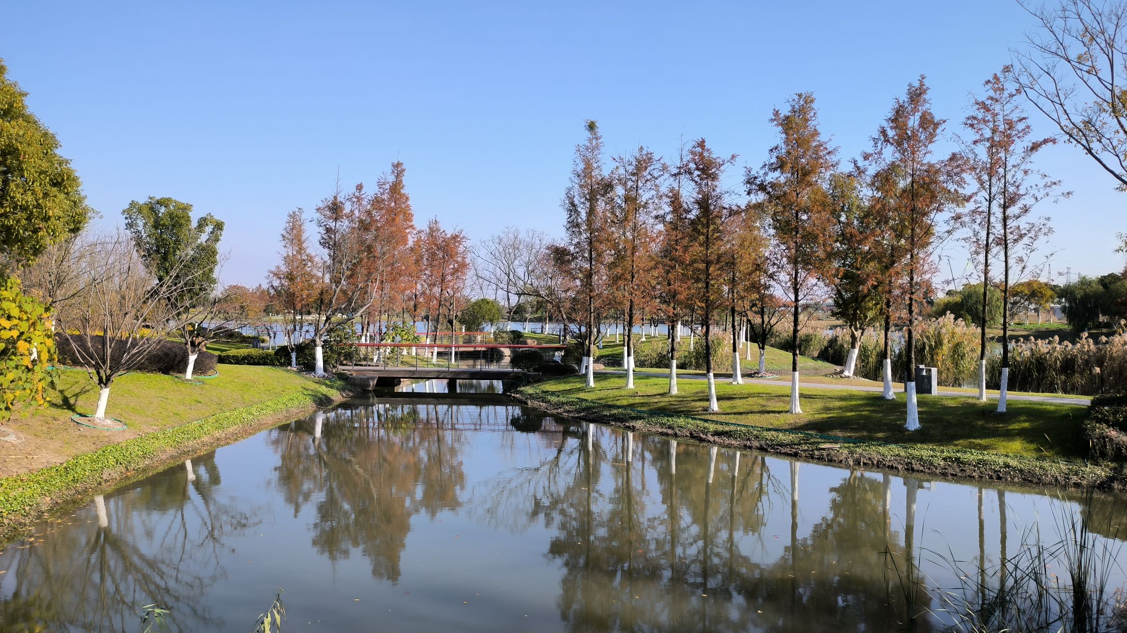 槜李湖公园旅行图片 2