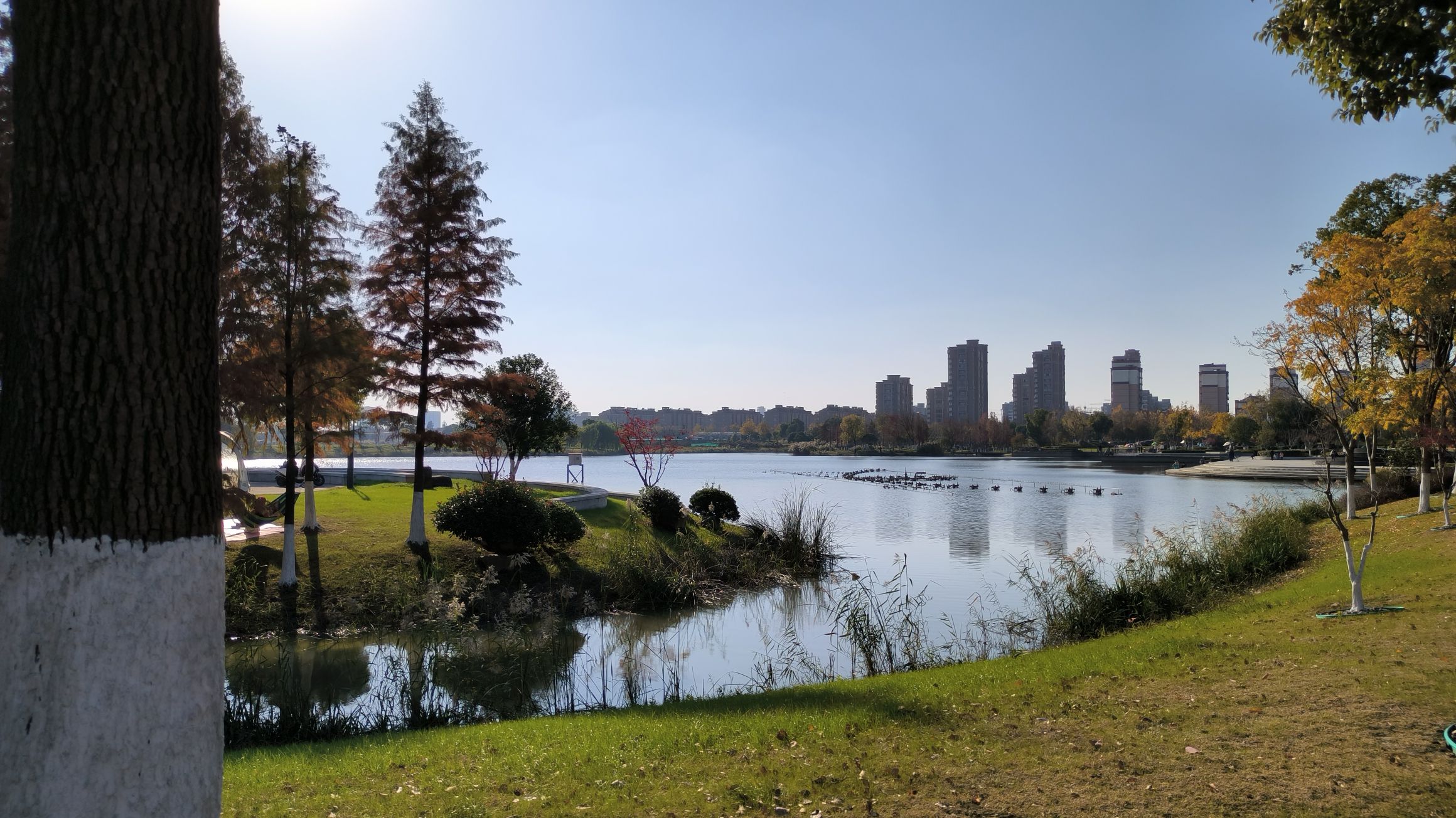 槜李湖公园旅行图片 1