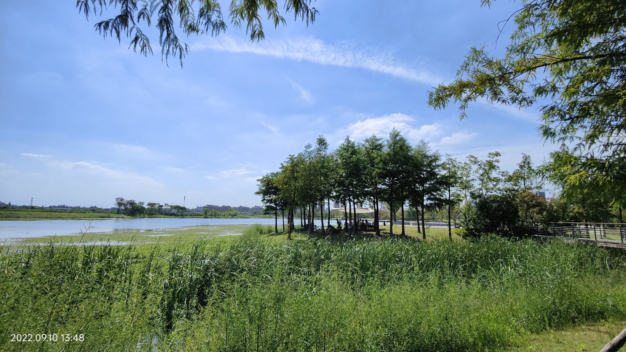 槜李湖公园-人工湖