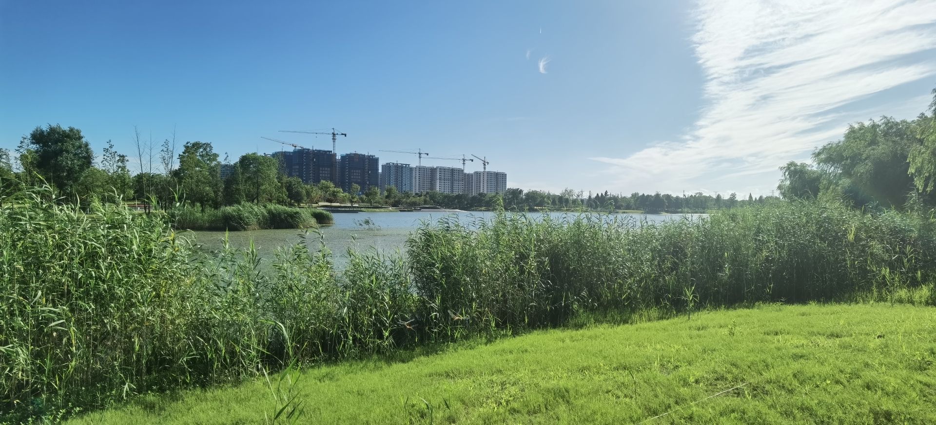 槜李湖公园旅行图片 3