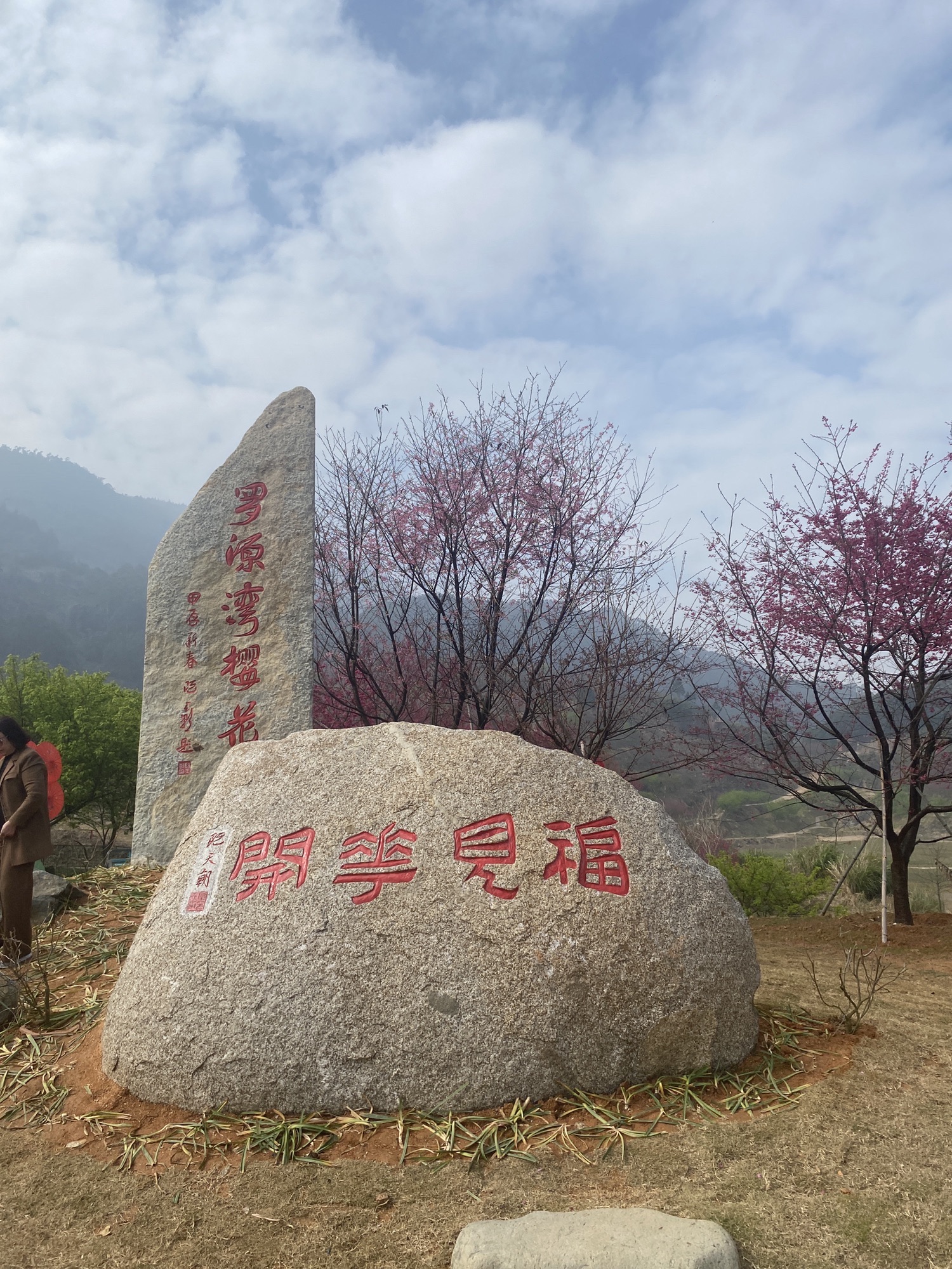 罗源湾樱花园旅行图片 3