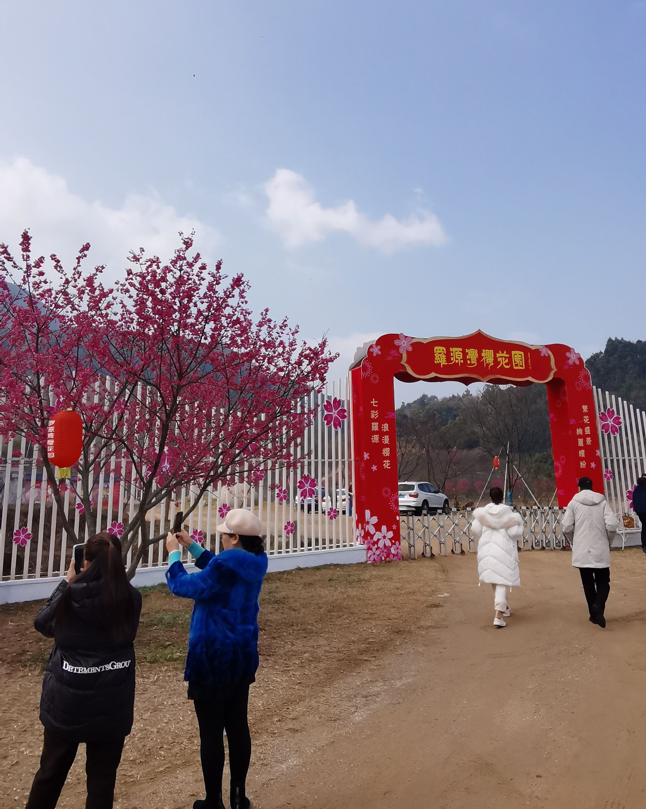 罗源湾樱花园旅行图片 1