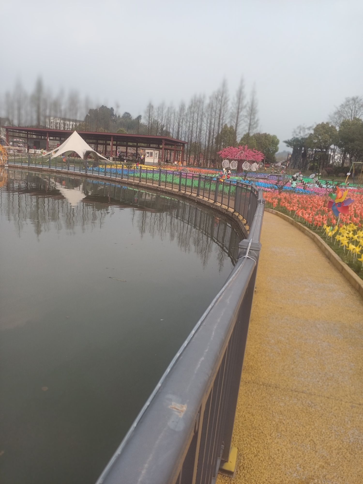 情定映玥湖旅行图片 2