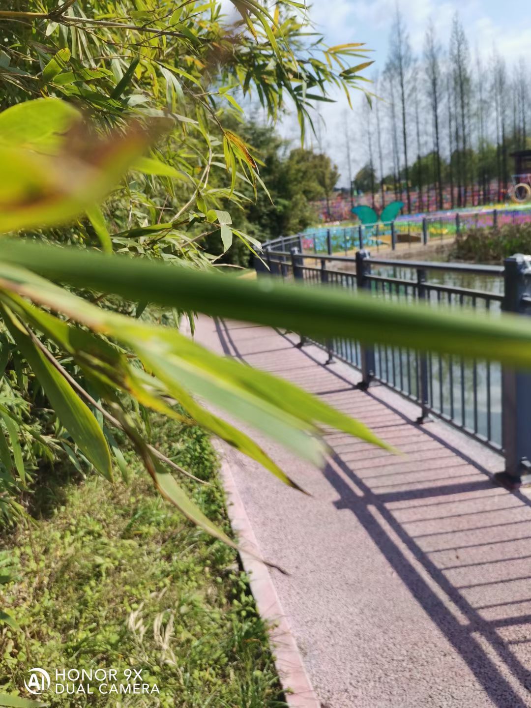 情定映玥湖旅行图片 1