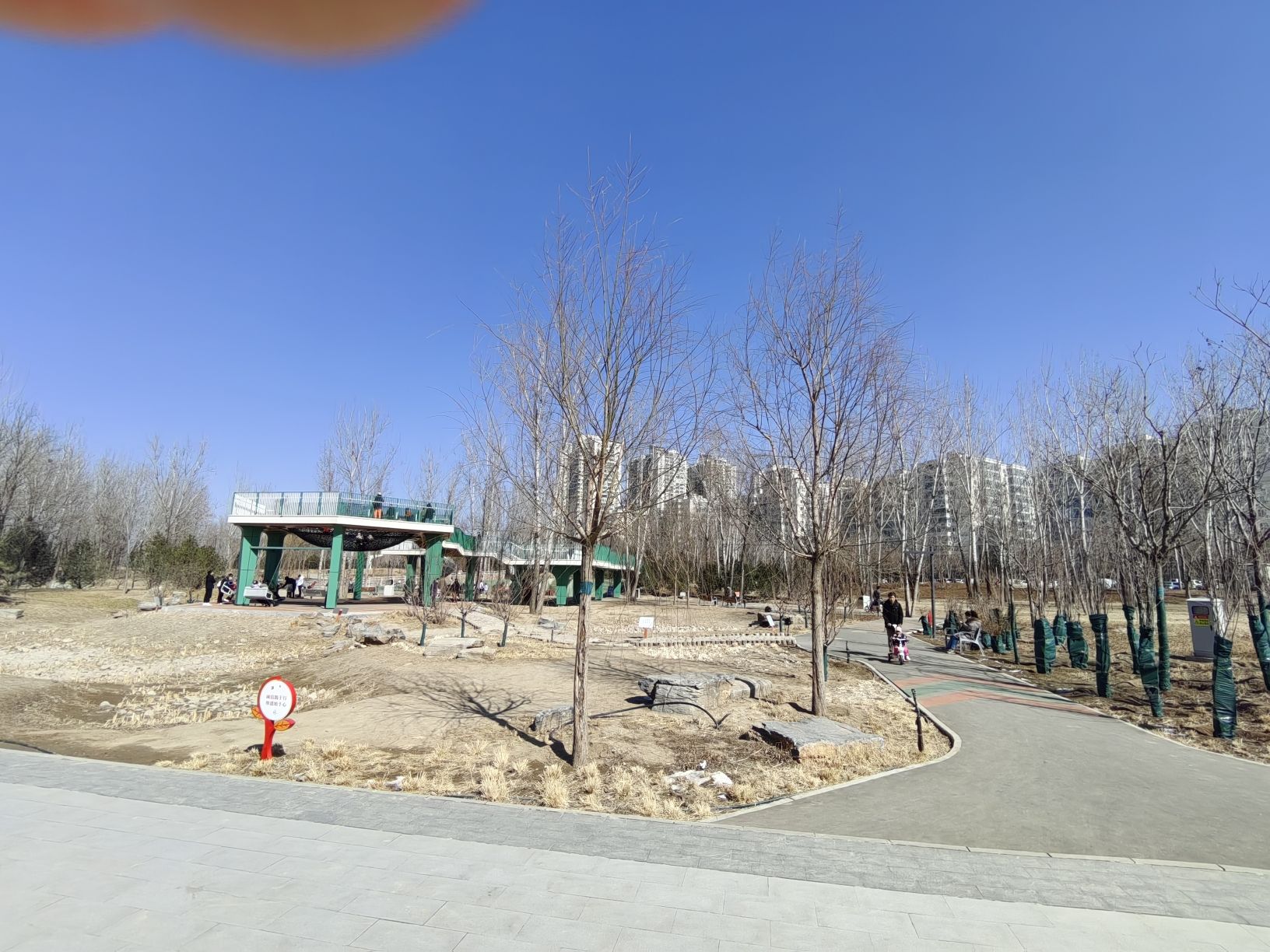 奥北森林公园旅行图片 2