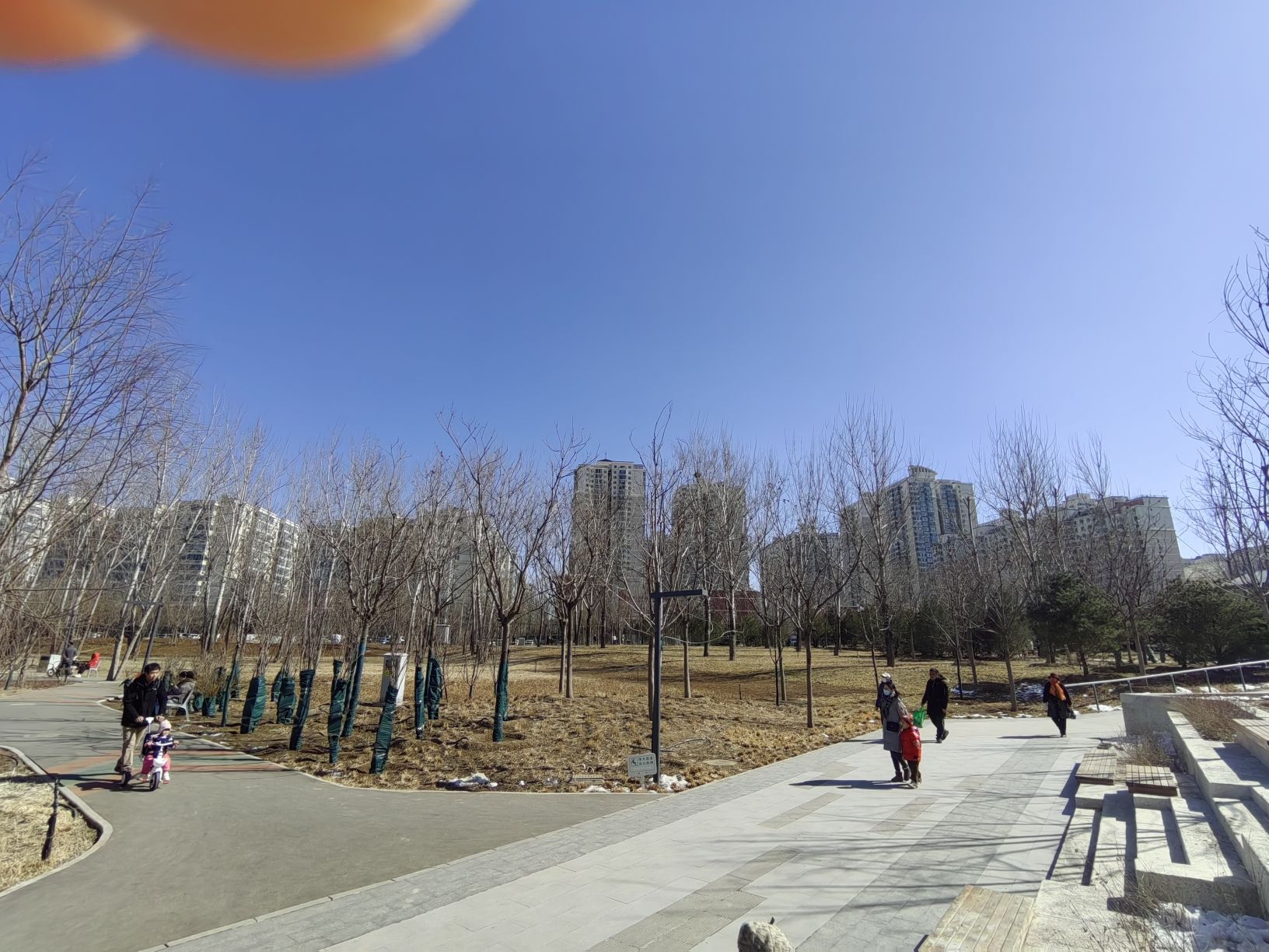 奥北森林公园旅行图片 1
