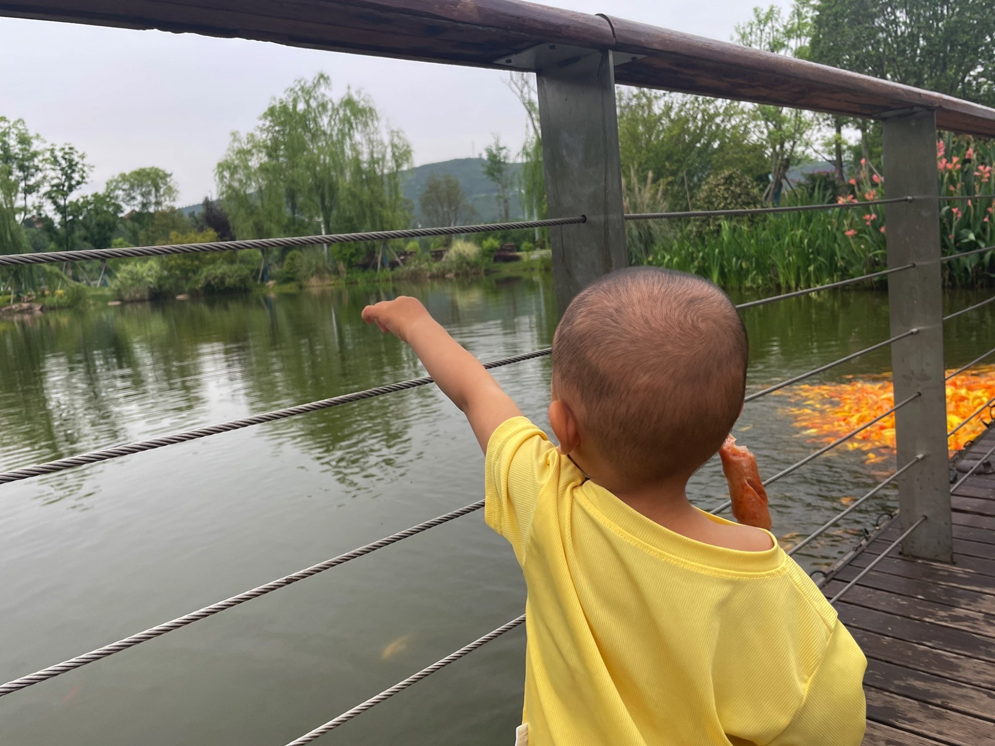 七曲山文昌公园旅行图片 1