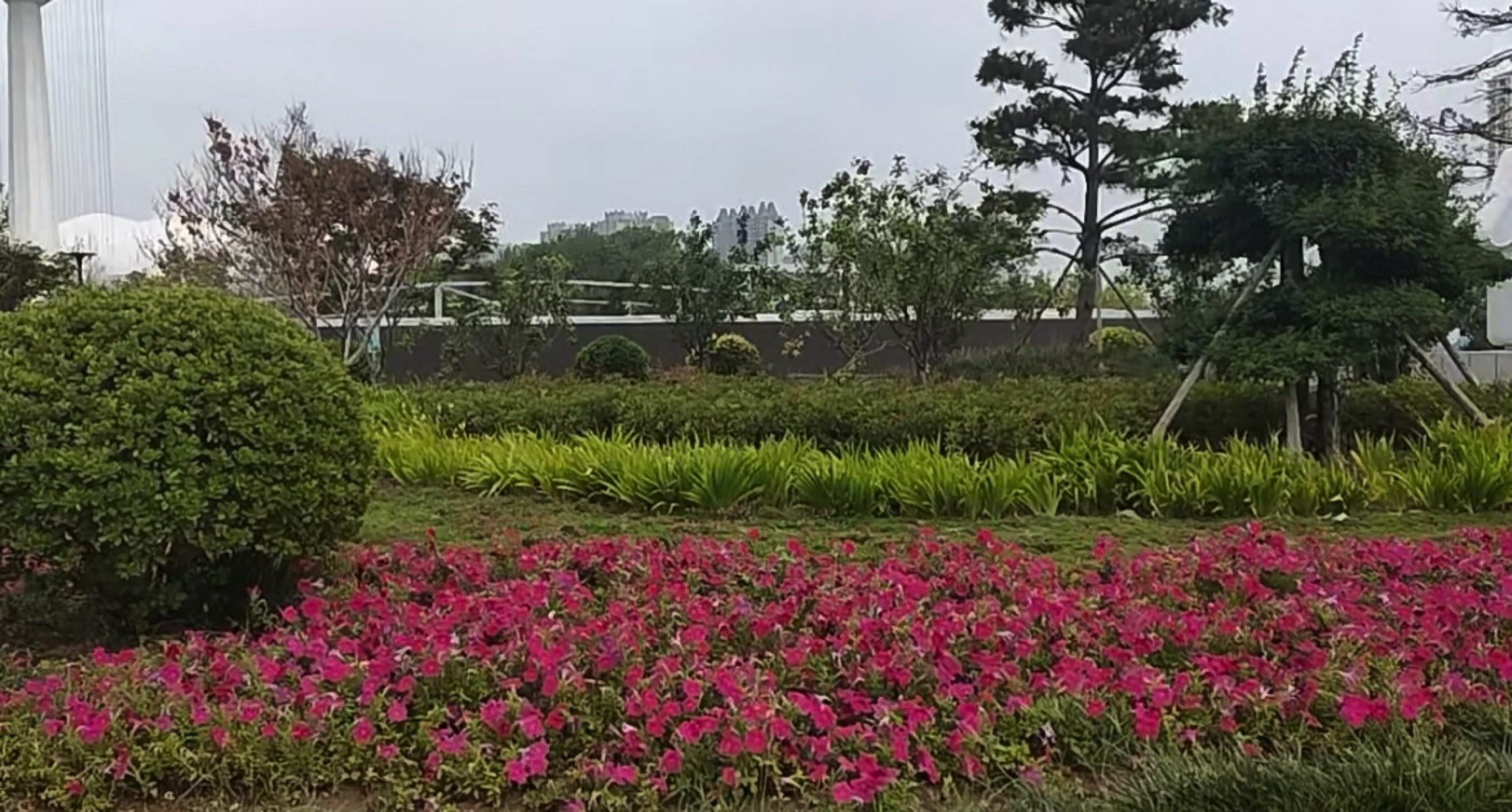 衡水市奥体公园旅行图片 1
