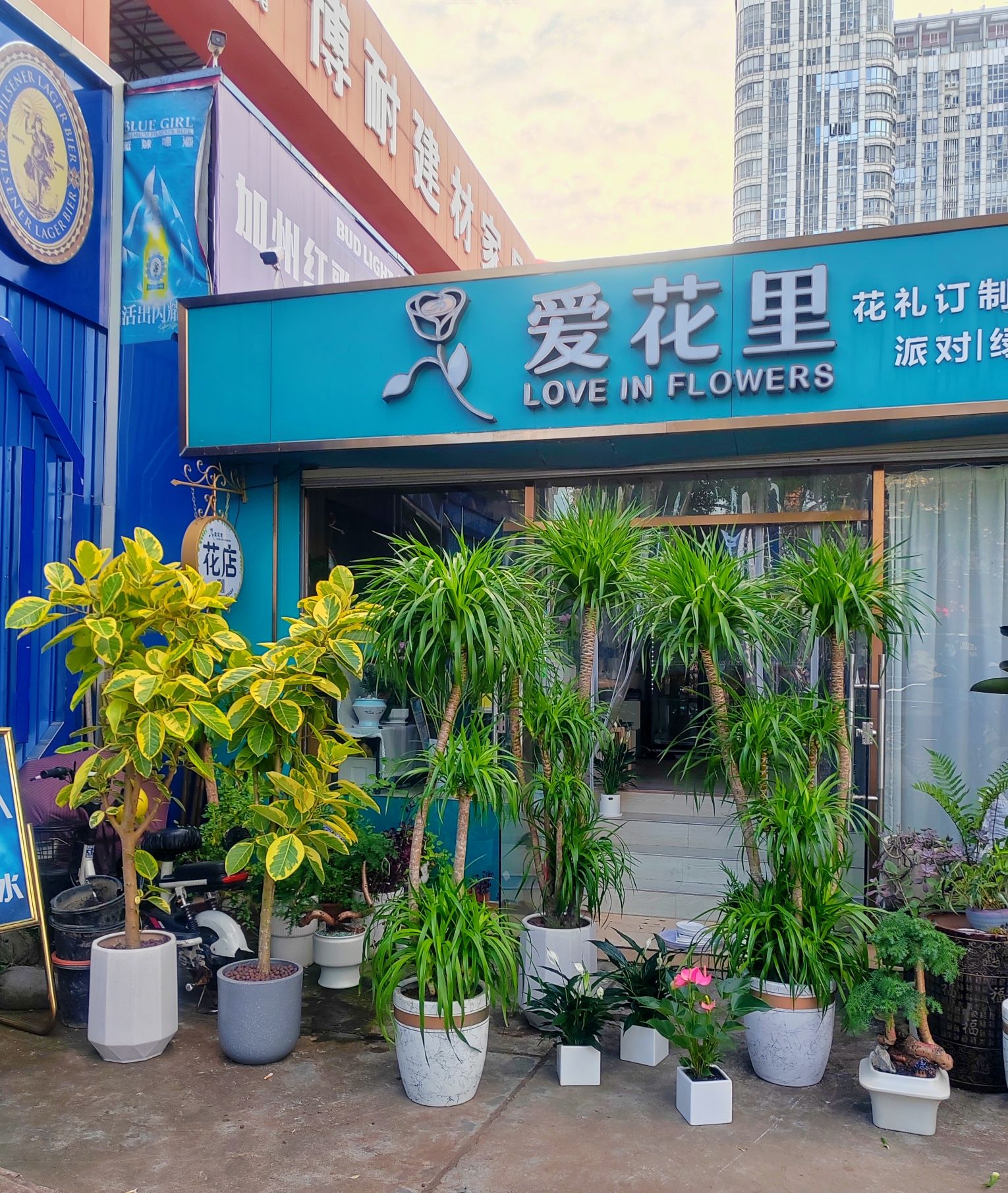 爱花里花店(花植鲜花花卉)