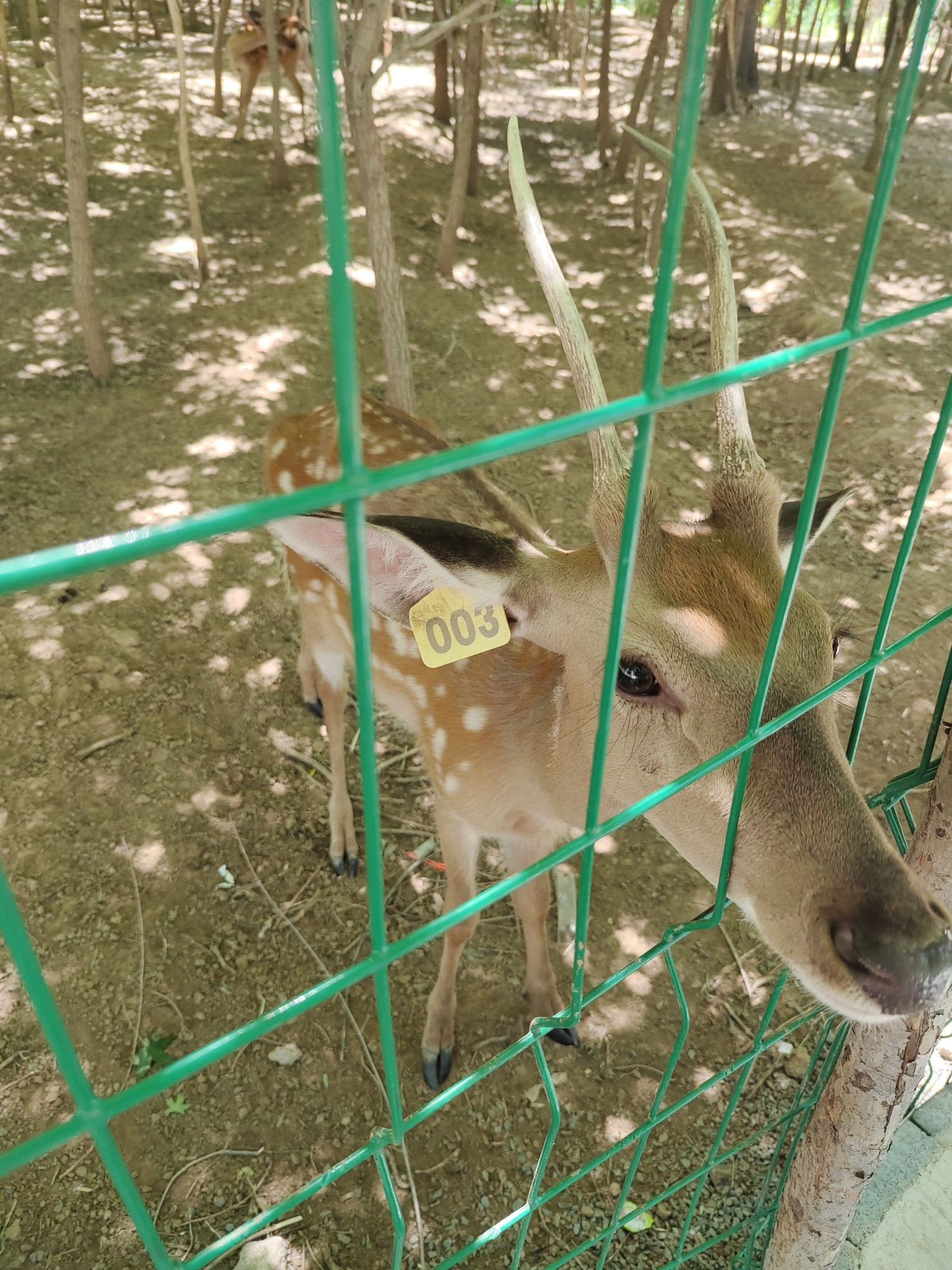 海里珊瑚旅行图片 3