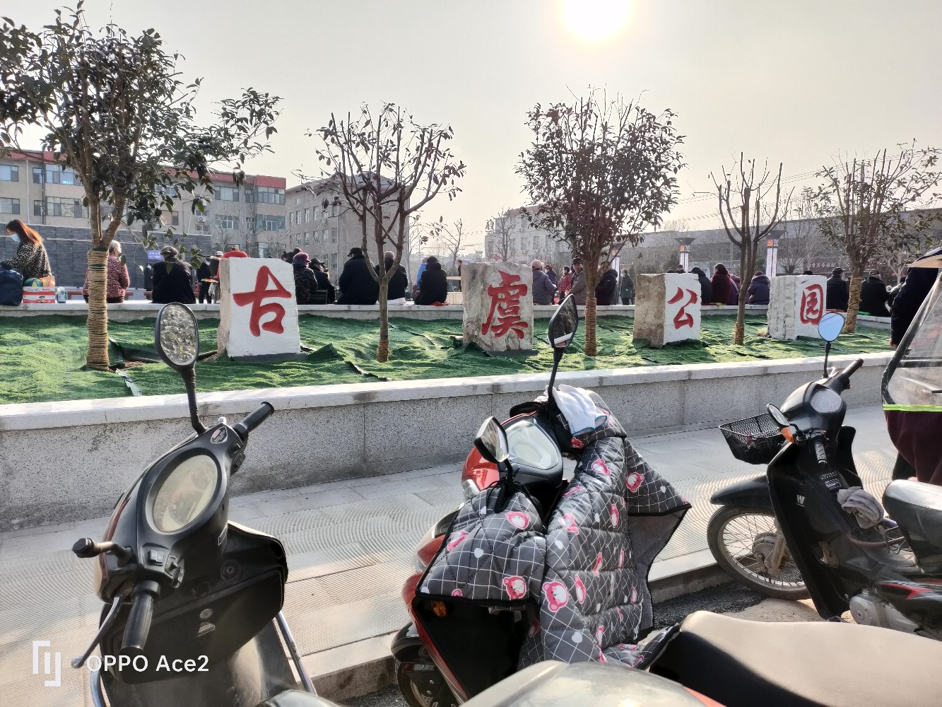 古虞公园旅行图片 3